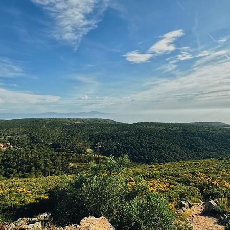 Can Romy Appartement T3 B - A 20M De La Plage De Cala Montgo L' Escala Dış mekan fotoğraf