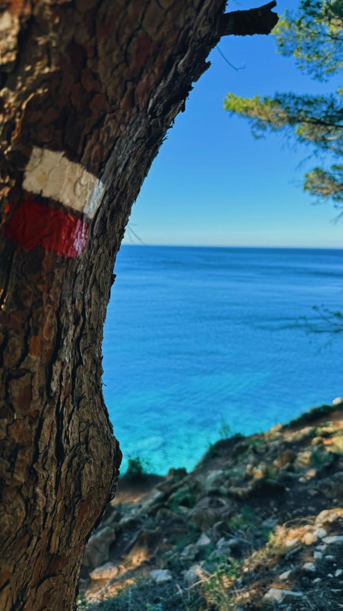 Can Romy Appartement T3 B - A 20M De La Plage De Cala Montgo L' Escala Dış mekan fotoğraf