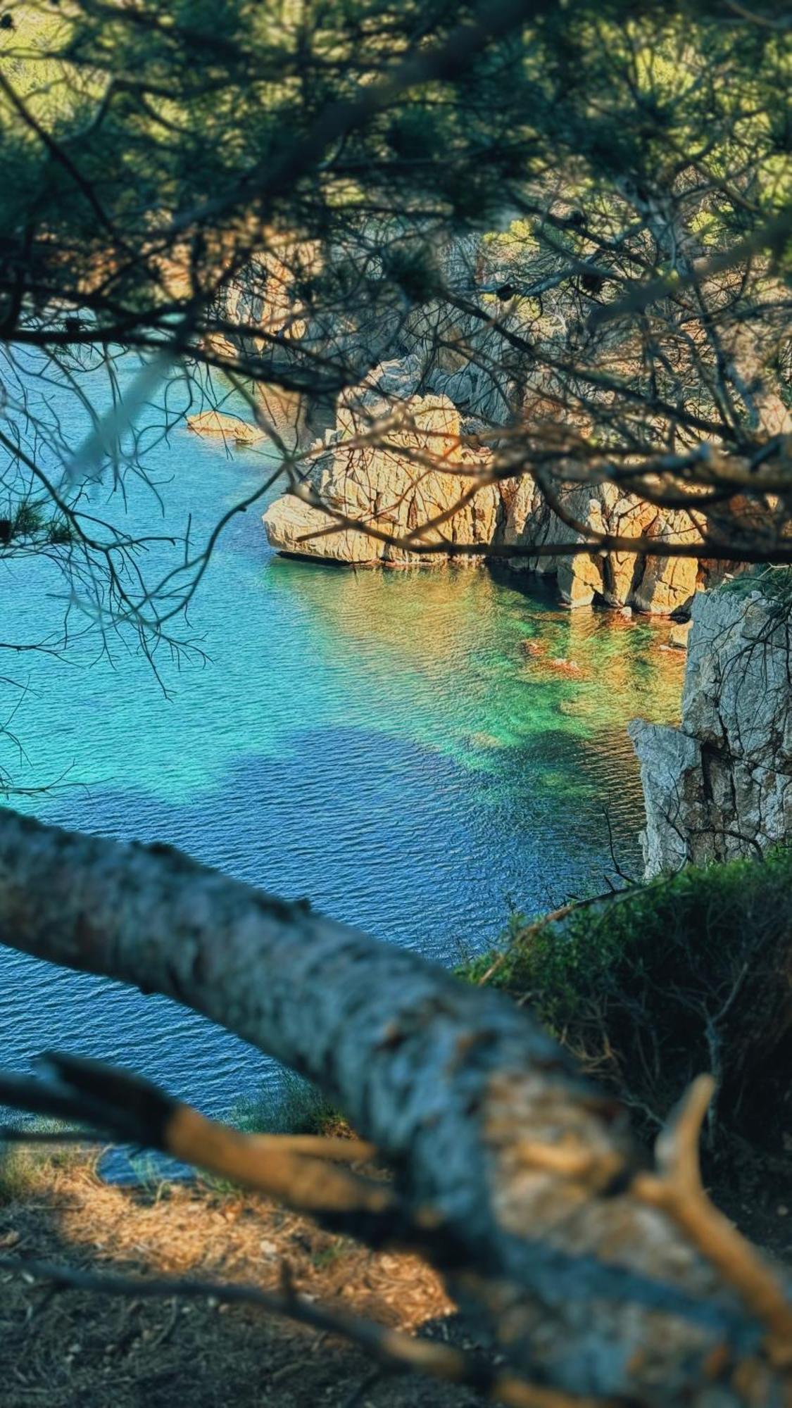 Can Romy Appartement T3 B - A 20M De La Plage De Cala Montgo L' Escala Dış mekan fotoğraf